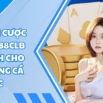 Bảo hiểm cược thua 5% 88CLB